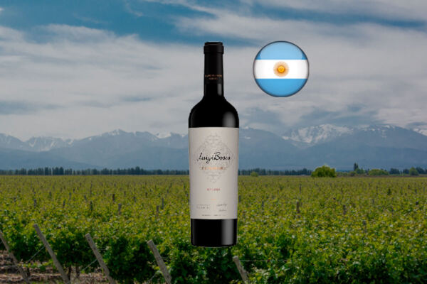 Luigi Bosca Malbec Valle de Uco De Sangre 2020 - Thumbnail