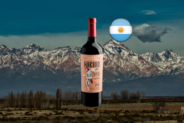 Nacido y Criado en Mendoza Cabernet Sauvignon 2024 - Thumbnail