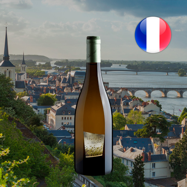 Pascal Jolivet Sauvage Sauvignon Blanc Sancerre AOC 2015 - Oferta