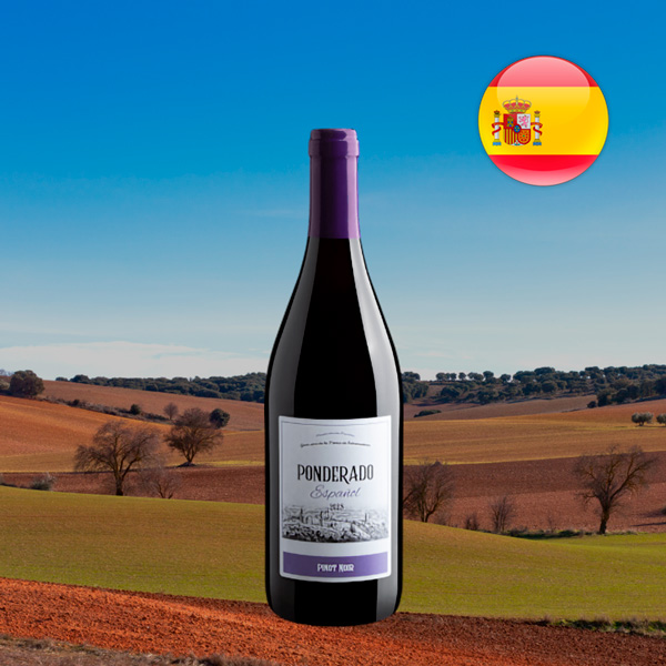 Ponderado Pinot Noir 2023 - Oferta