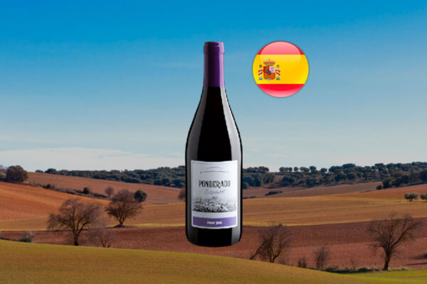 Ponderado Pinot Noir 2023 - Thumbnail