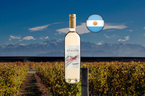 Viña de Los Andes Chardonnay 2024 - Thumbnail