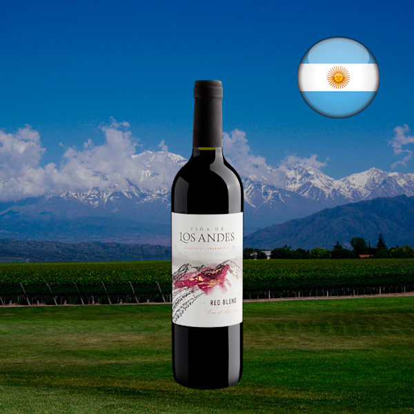 Viña de Los Andes Red Blend 2024 - Oferta