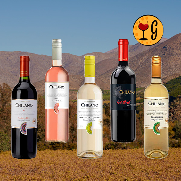 Vinho Chilano: A Linha que Traduz a Alma dos Vinhos do Chile