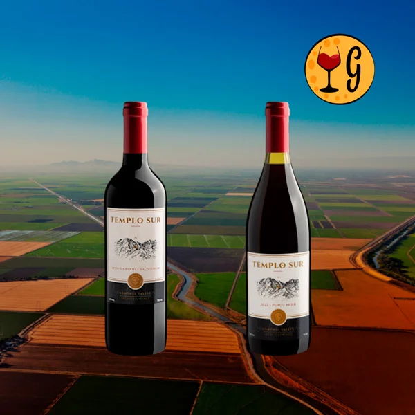 Vinhos Templo Sur: O Melhor do Terroir Chileno pela Vinícola Sur Valles - Oferta