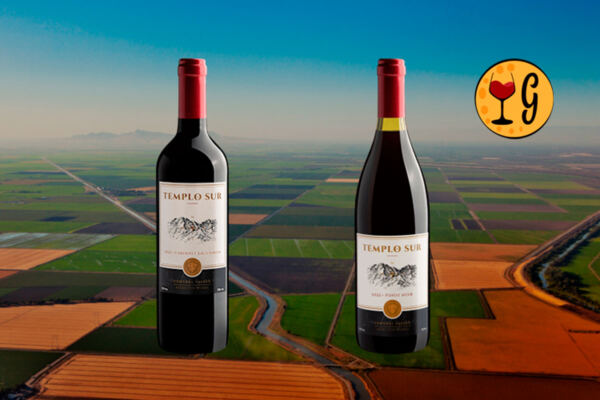 Vinhos Templo Sur: O Melhor do Terroir Chileno pela Vinícola Sur Valles - Thumbnail