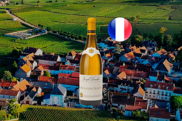 Bourgogne Aligoté 2022 - Thumbnail