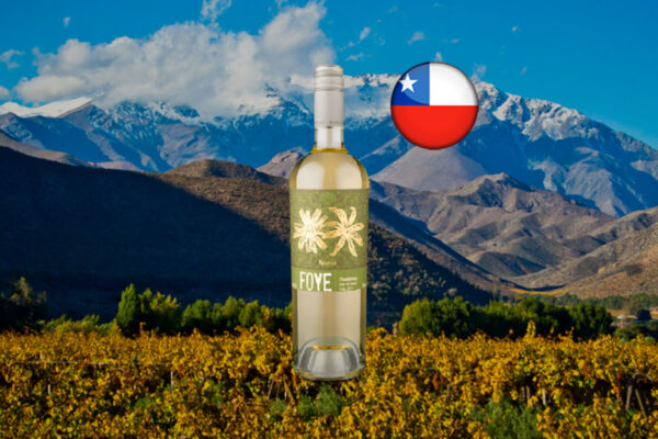 Foye Reserva Chardonnay 2021 - Thumbnail