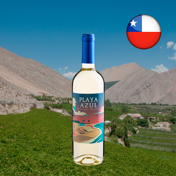 Playa Azul Winemaker Selection Sauvignon Blanc Central Valley DO 2023 - Oferta