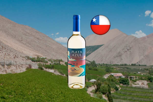 Playa Azul Winemaker Selection Sauvignon Blanc Central Valley DO 2023 - Thumbnail