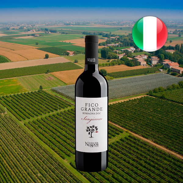 Poderi dal Nespoli Fico Grande Sangiovese Romagna DOC 2018 - Oferta