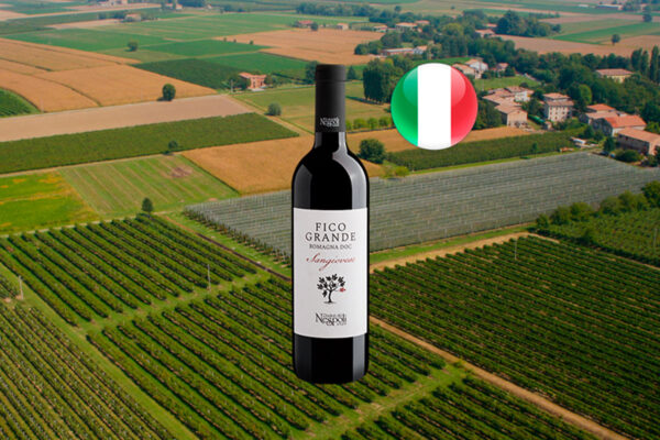 Poderi dal Nespoli Fico Grande Sangiovese Romagna DOC 2018 - Thumbnail