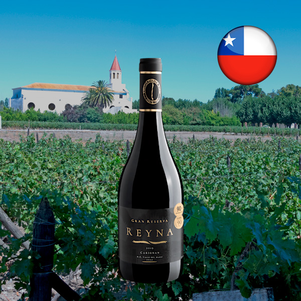 Reyna Gran Reserva Carignan Valle del Maule DO 2019 - Oferta