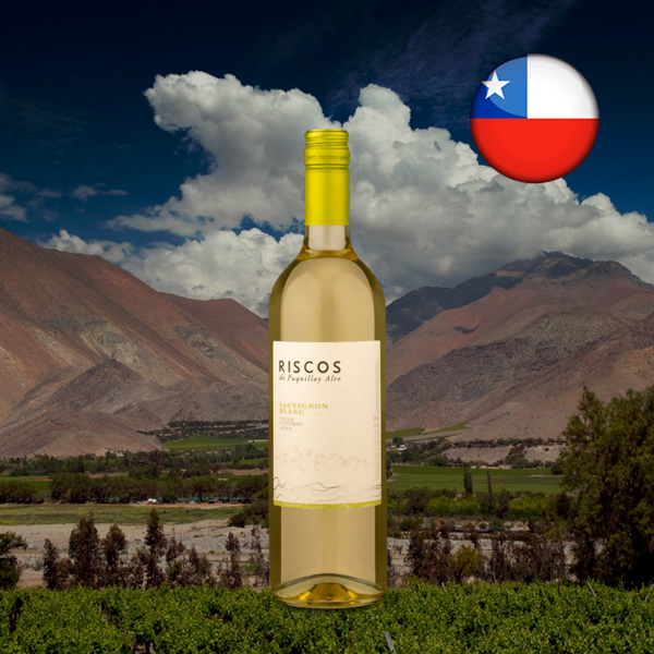 Riscos Valle Central Sauvignon Blanc 2022 - Oferta