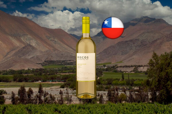 Riscos Valle Central Sauvignon Blanc 2022 - Thumbnail