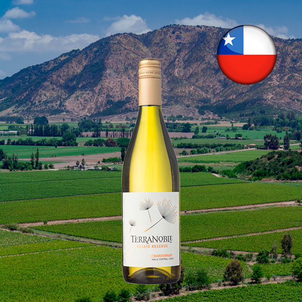 Terranoble Chardonnay Estate Reserve 2023 - Oferta