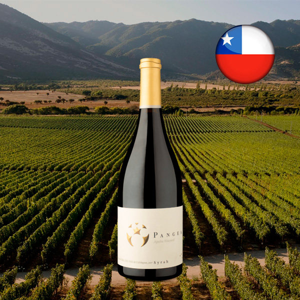 Ventisquero Pangea Valle de Colchagua Syrah 2017 - Oferta