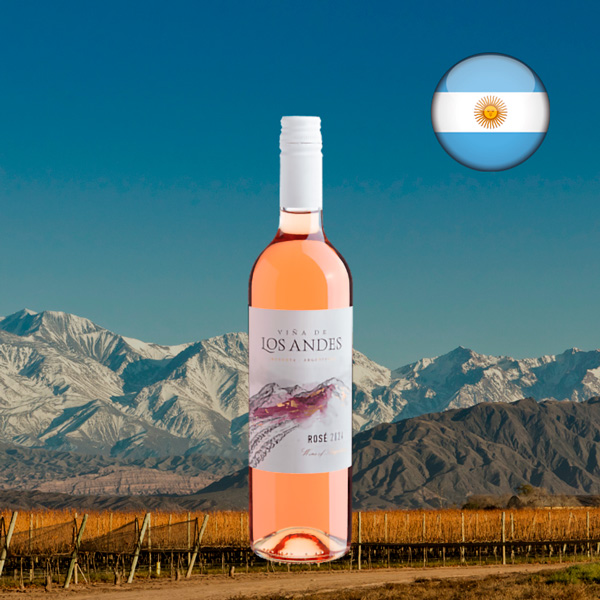 Viña de Los Andes Rosé 2024 - Oferta