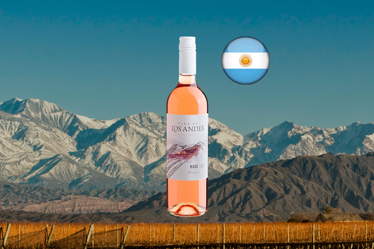 Viña de Los Andes Rosé 2024 - Vinho rosé argentino | Center Gourmet ...