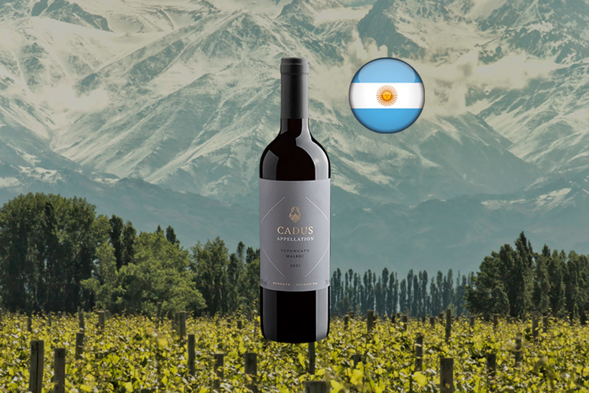 Cadus Appellation Malbec 2021 - Vinho tinto argentino | Center Gourmet ...