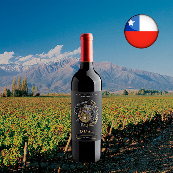 Dual Red Blend Valle Central DO 2023 - Oferta