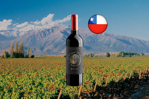 Dual Red Blend Valle Central DO 2023 - Thumbnail