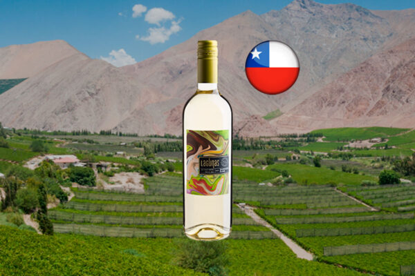 Lagunas Sauvignon Blanc Valle Central DO 2024 - Thumbnail