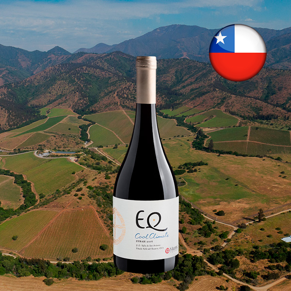 Matetic EQ Syrah 2016 - Oferta