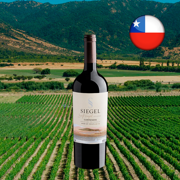 Siegel Single Vineyard Los Lingues Carménère Valle de Colchagua DO 2019 - Oferta