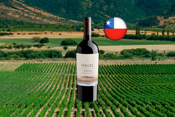 Siegel Single Vineyard Los Lingues Carménère Valle de Colchagua DO 2019 - Thumbnail