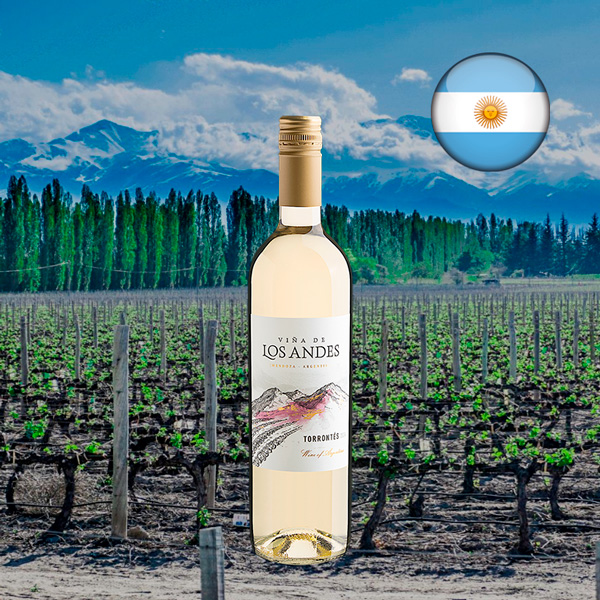 Viña de Los Andes Torrontés 2024 - Oferta