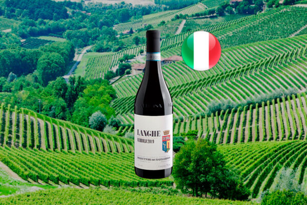 Barbaresco Langhe Nebbiolo DOC 2019 - Thumbnail