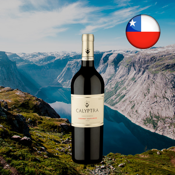 Calyptra Gran Reserva DO Cachapoal Valley Cabernet Sauvignon 2020 - Oferta