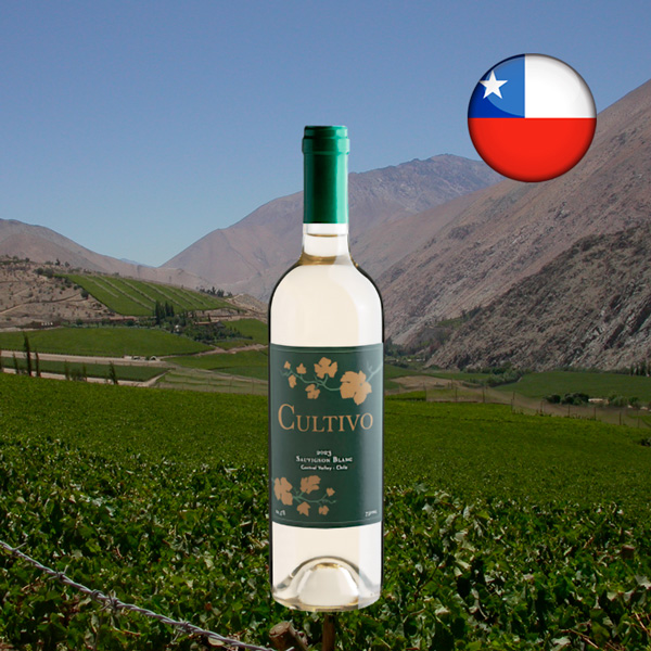 Cultivo Sauvignon Blanc Central Valley DO 2023 - Oferta