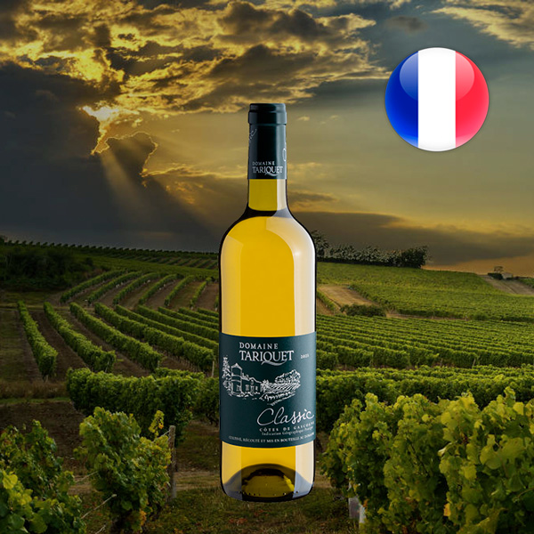 Domaine Tariquet Classic Côtes de Gascogne IGP 2023 - Oferta