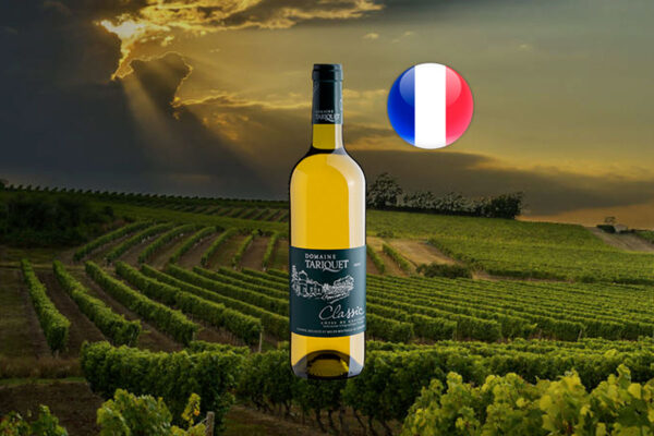 Domaine Tariquet Classic Côtes de Gascogne IGP 2023 - Thumbnail