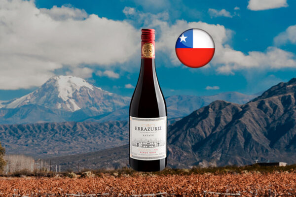 Errazuriz Estate Series Pinot Noir Reserva 2020 - Thumbnail