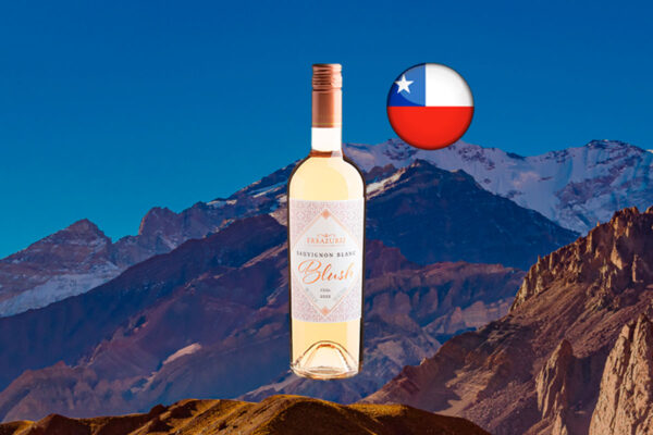 Errazuriz Sauvignon Blanc Blush 2022 - Thumbnail