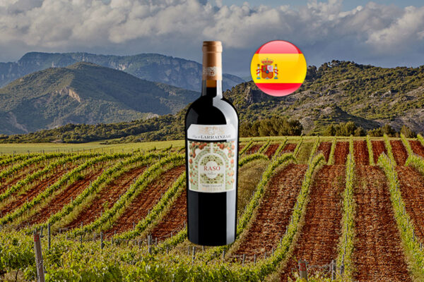 Raso de Larrainzar Single Vineyard Reserva Navarra DO 2014 - Thumbnail