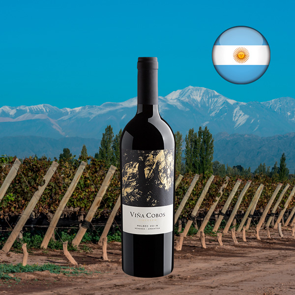 Viña Cobos Vinculum Malbec 2019 1500 mL - Oferta