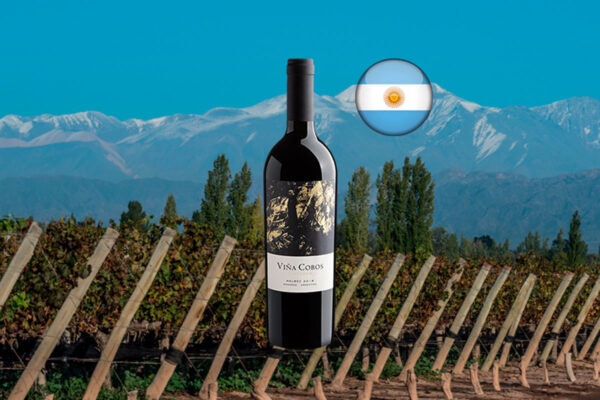 Viña Cobos Vinculum Malbec 2019 1500 mL - Thumbnail