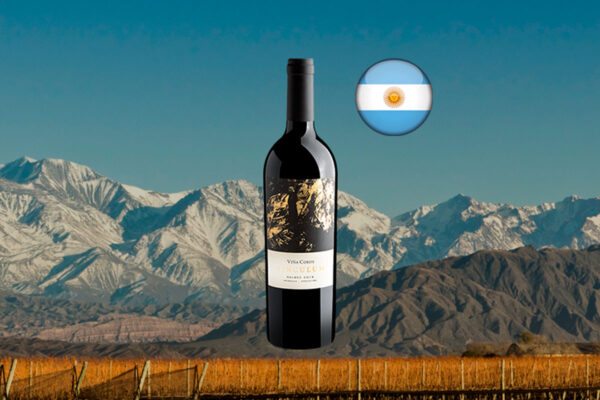 Viña Cobos Vinculum Malbec 2019 - Thumbnail