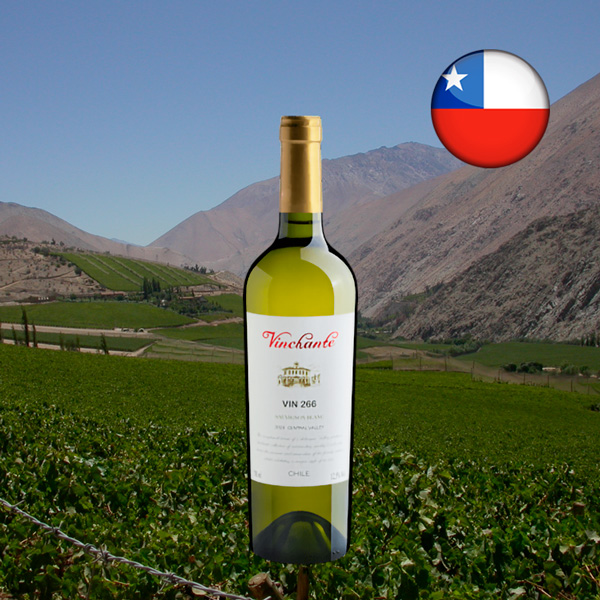 Vinchante Vin 266 Sauvignon Blanc Central Valley 2022 - Oferta