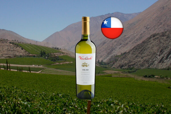 Vinchante Vin 266 Sauvignon Blanc Central Valley 2022 - Thumbnail