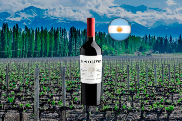 Zuccardi Los Olivos Malbec 2023 - Thumbnail