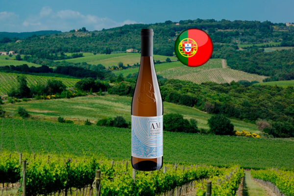 Adega Monção Vinho Verde Alvarinho 2023 - Thumbnail