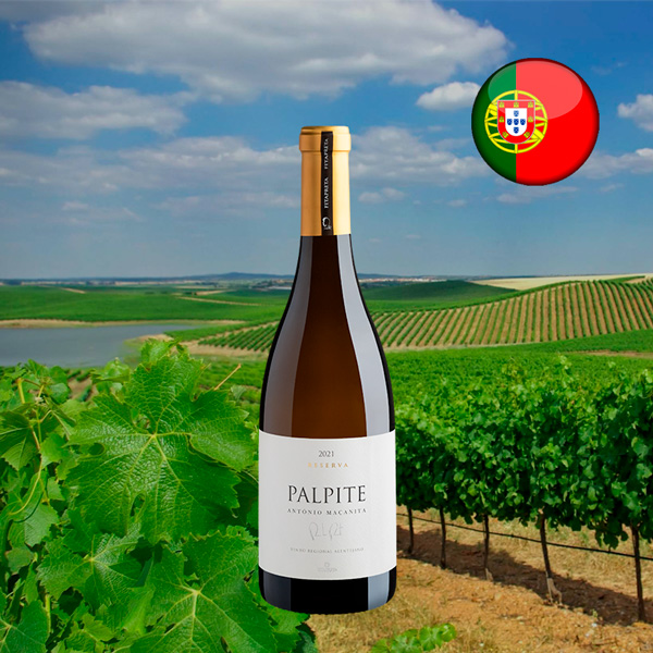 António Maçanita Palpite Reserva Alentejano 2021 - Oferta