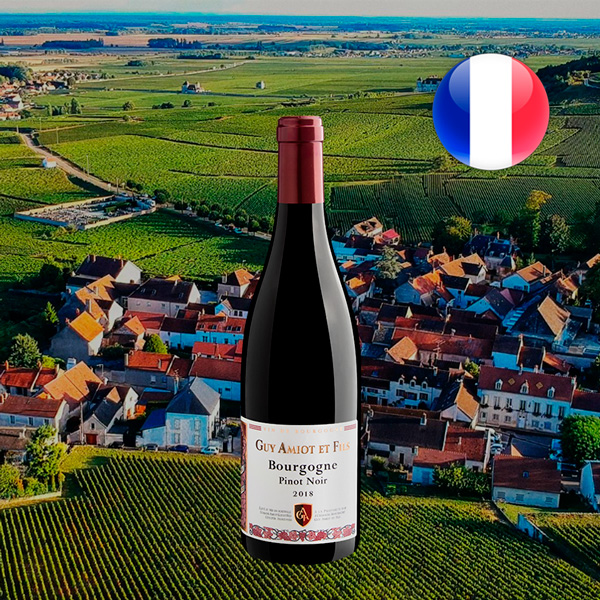 Guy Amiot Bourgigne Pinot Noir Cuvée Simone Red 2018 - Oferta