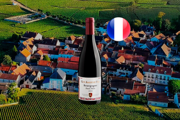 Guy Amiot Bourgigne Pinot Noir Cuvée Simone Red 2018 - Thumbnail