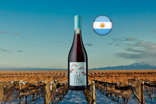 Padrillos Pinot Noir 2022 - Thumbnail